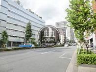 新目白通り