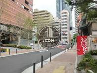 南側道路を撮影