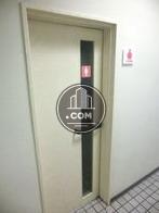 男女別となります