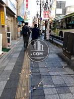 目の前の歩道