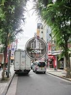 街路樹のある通り