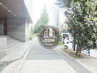 街路樹のある通り