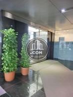 植栽も配置されています