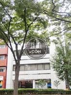 日差しの入るオフィス