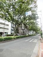 緑の生茂る街路樹通り