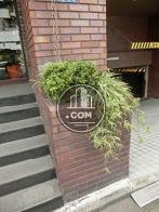 走路沿いに植込みがあります