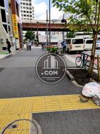 周辺は賑わっています