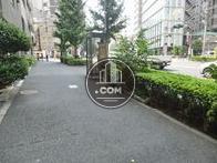 緑がきれいな歩道