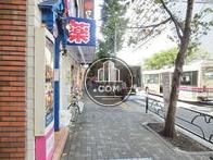街路樹のある通り