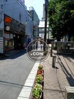 建物前の道