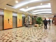 10基配列されたエレベーター