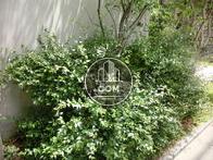 いろんな種類の植物があります