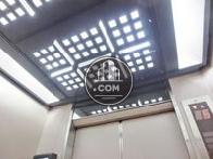 天井の照明