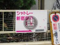 シャントーレ新宿御苑1