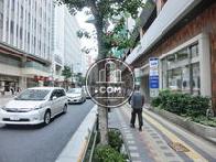 街路樹の立ち並んだ歩道