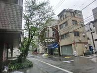 余裕の敷地に植栽のアクセントで落ち着きます