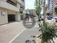 街路樹の立ち並ぶ通り