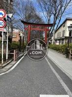 氷川参道がすぐ近く