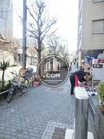 街路樹のある通り