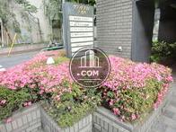 多くの緑が植えられており、きちんと手入れがなされています