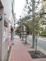 街路樹のある歩道