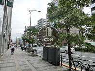 歩道は広めに取られています