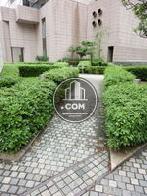 緑が生い茂る敷地内