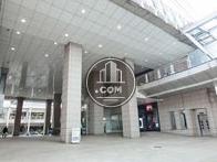 ダイナミックな造りです