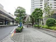 街路樹の多い通り