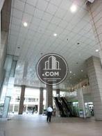 天井が高いです