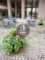 整備されている花