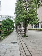 植木の点在する歩道