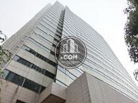 綺麗なシルエット