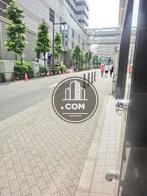 綺麗な通りです