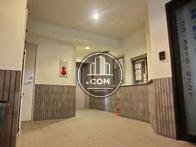 綺麗に整備されています