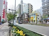 手入れのされている街並み