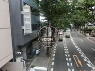 通りは終日交通量が盛んです