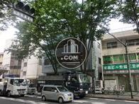 大通りの対向車線より撮影