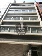 見上げた様子です