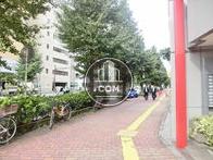 街路樹のある通り