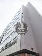 地上から見上げたシルエット