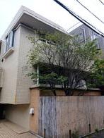 代官山テラスの外観写真