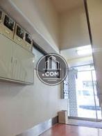 綺麗に整備されています