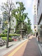 街路樹が立ち並びます