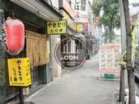 緩やかな斜面です