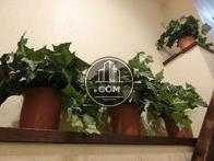植栽