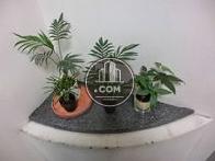 エントランスの植栽