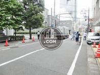 玄関前の歩道
