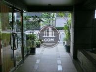 玄関周りには植物が多く設置されています