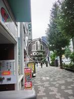 植樹された綺麗な歩道